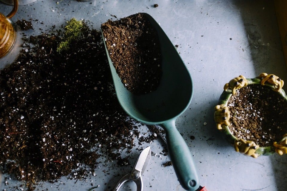 Préserver la beauté du jardin grâce à un entretien régulier
